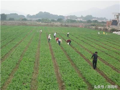 农村20个创业路子,无本创业22种方法农村