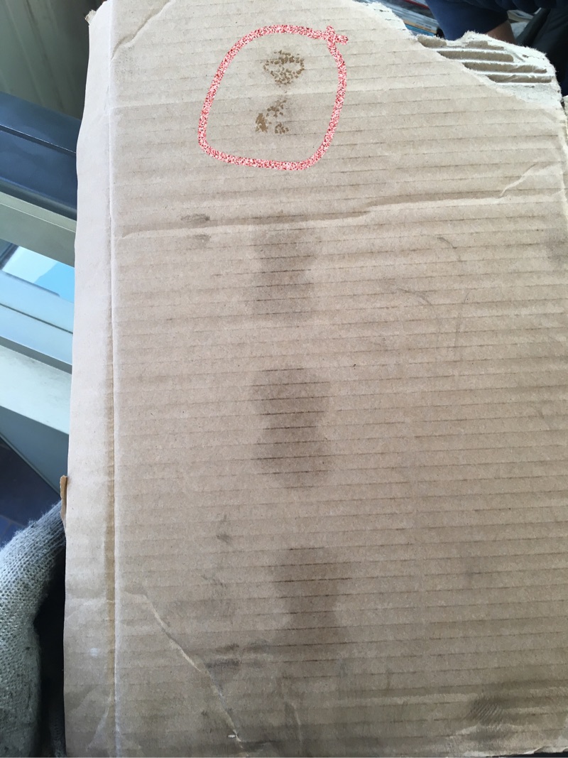 雪佛兰景程抖动报四缸失火,景程车速60-80车身抖动什么原因