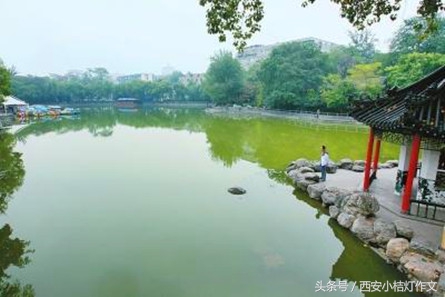 三年级作文夸家乡500字,二年级夸家乡作文150字