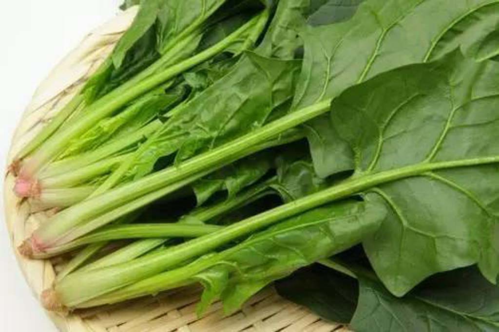 菠菜炒蛋的家常做法,番茄菠菜炒蛋