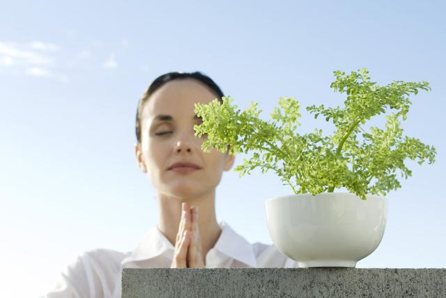 道医辟谷注意事项有哪些,中医养生知识大全辟谷方法