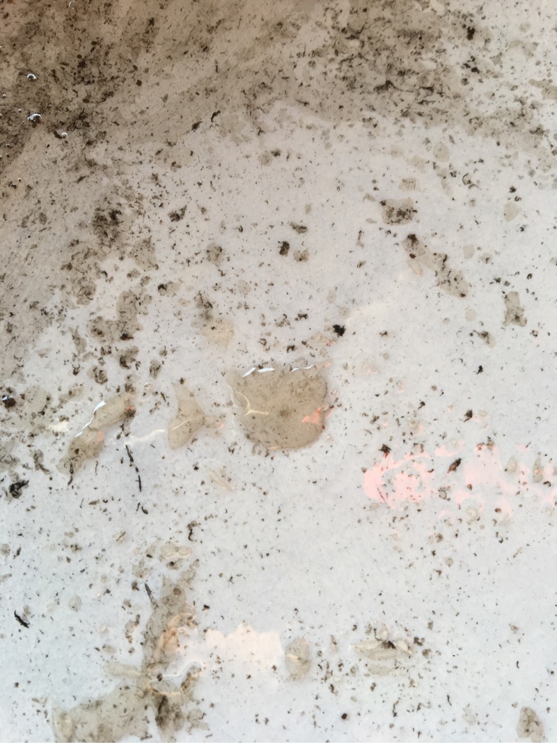 雪佛兰景程抖动报四缸失火,景程车速60-80车身抖动什么原因