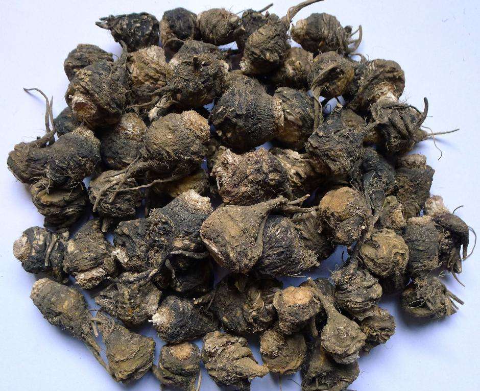 玛咖灵芝酒的泡制方法,玛咖酒怎么泡制才能达到养生效果