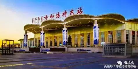 清明陵园交通管制最新,清明墓区交通管制