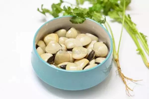 有味道的蛤蜊,蛤蜊很好吃的样子