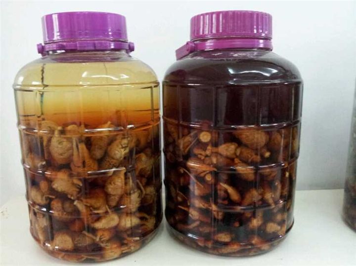 玛咖灵芝酒的泡制方法,玛咖酒怎么泡制才能达到养生效果