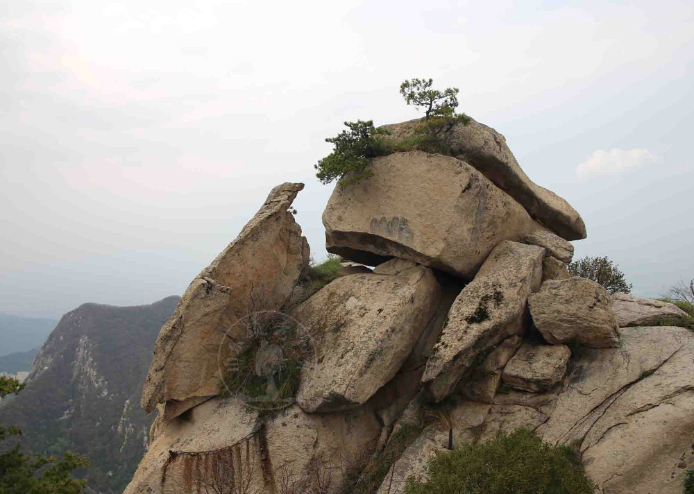 不到华山不知山之奇险,不登华山不知山峰之险