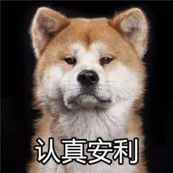 狐狸精平常表示什么,狐狸精是夸人还是骂人的