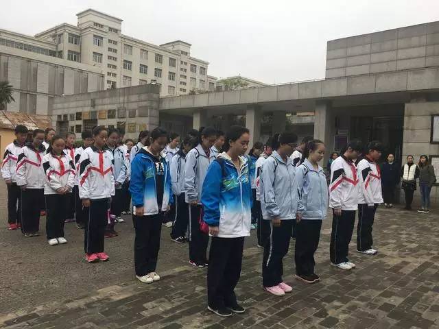 学校师生清明祭扫革命烈士陵园,学校清明祭扫英烈活动方案