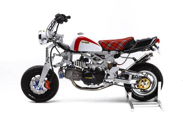 猴猴猴赛雷,猴赛雷猴子视频