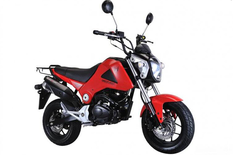 猴猴猴赛雷,猴赛雷猴子视频