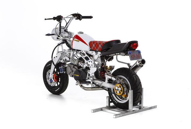 猴猴猴赛雷,猴赛雷猴子视频