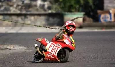 猴猴猴赛雷,猴赛雷猴子视频