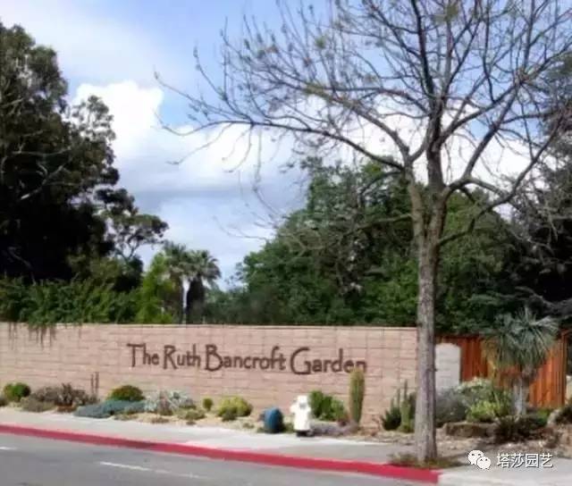 美国109岁老奶奶,109岁奶奶美国