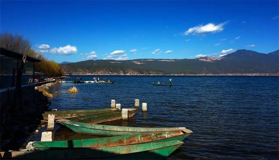 拉市海茶马古道人在旅途,拉市海骑马古道马帮