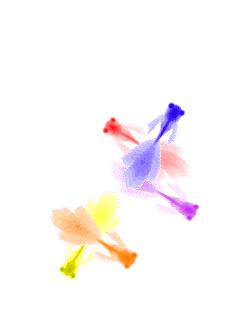 关注｜拱墅要给所有“毛细血管”洗个澡，小渠小塘都要变得美美滴~