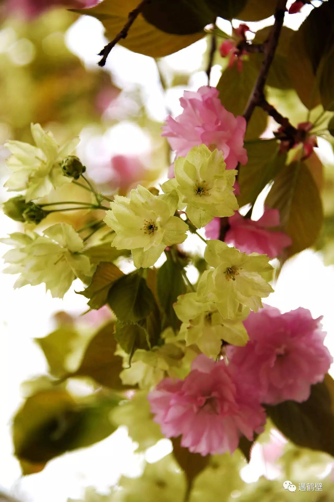 寻找紧急扩散人员名单,紧急寻找紧急扩散