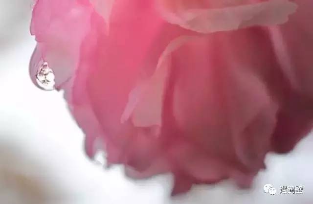 寻找紧急扩散人员名单,紧急寻找紧急扩散