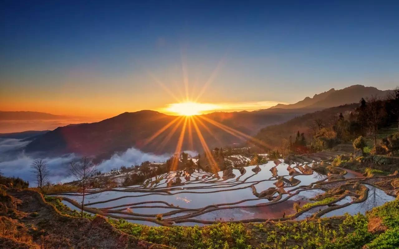 在丽江那一口“好喝到要*天升**”的汽锅鸡，让我开始了“寻找上海最好吃的云南菜”之旅！