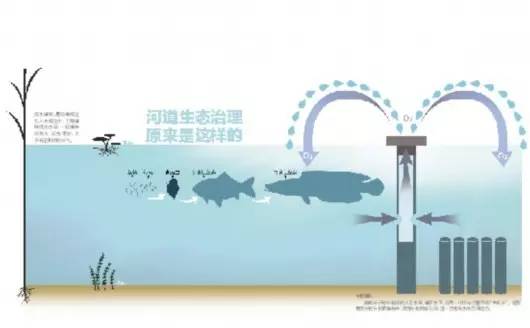 关注｜拱墅要给所有“毛细血管”洗个澡，小渠小塘都要变得美美滴~