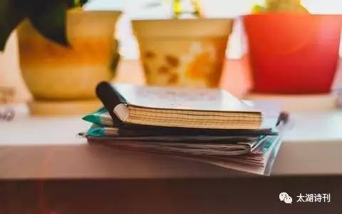 这场爱情没结果,这场爱究竟错在了何处小说