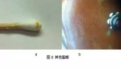 辨别烤色老蜜蜡方法图片,鉴别老蜜蜡的简单方法图片