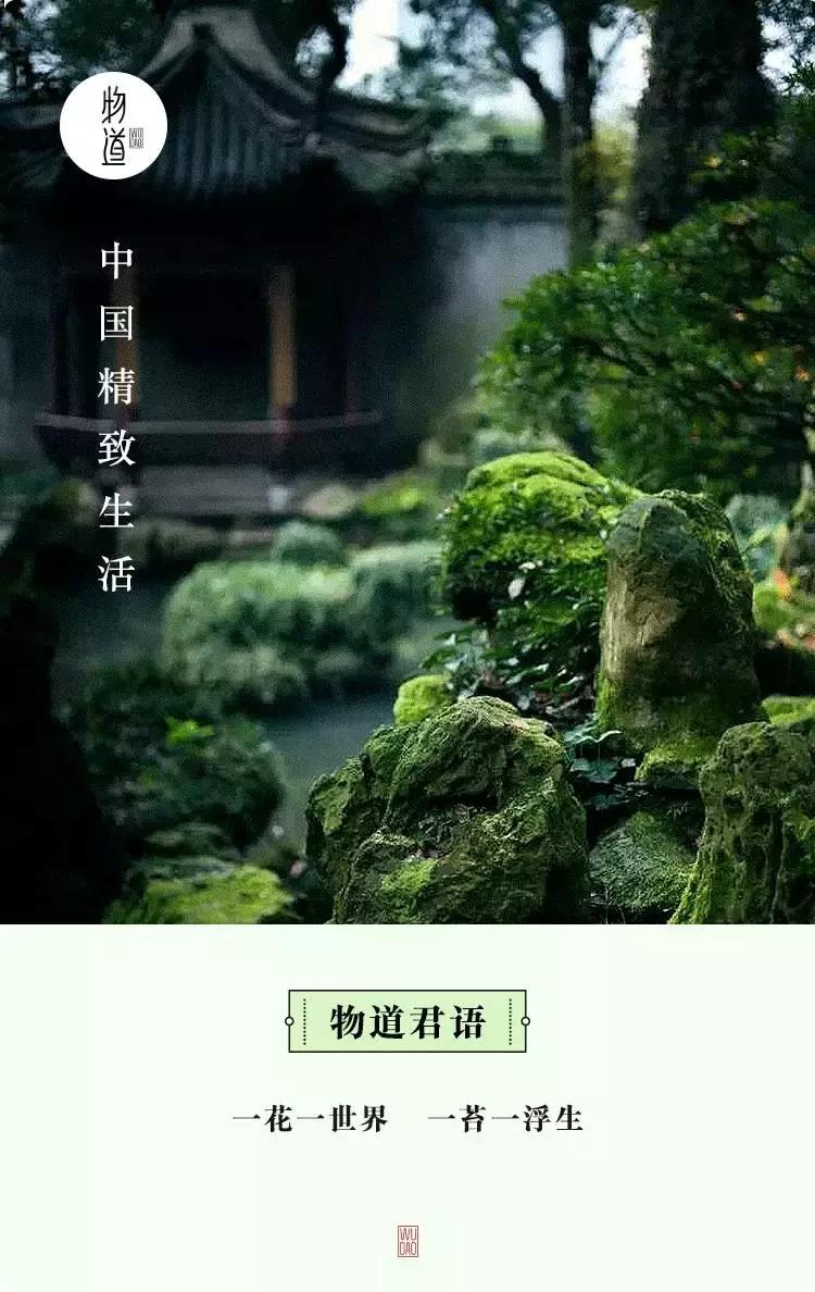 去除青苔的最好方法,去除青苔最有效的方法