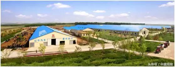 辉山马锐奶粉,辉山星恩奶粉走单