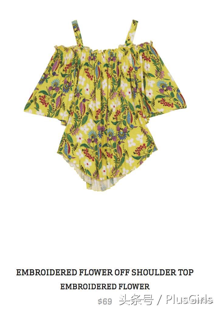 全球最高收入女星第二名竟然是这个200斤的胖姐们