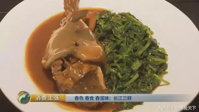 鲥鱼和刀鱼的鲜美,刀鱼鲥鱼河豚被称为长江三鲜