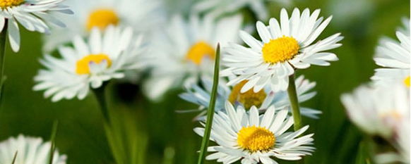 香港大牌护手霜,香港进口凡士林护手霜
