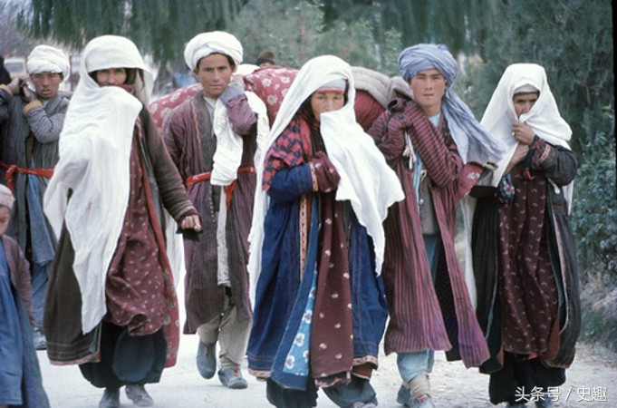 中国各民族十二生肖,十二生肖哪个生肖是人类祖先