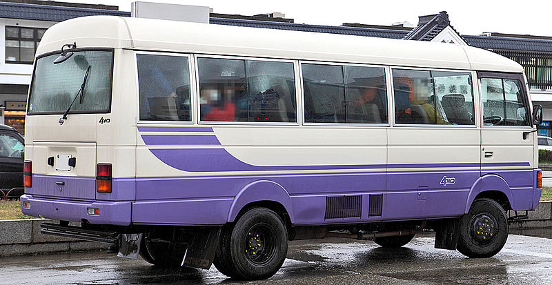 公交线路上亭亭玉立的碧莲