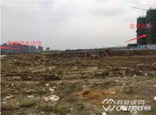 实探合肥,实探合肥滨湖