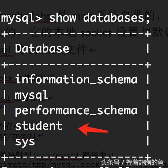 mysql数据库进阶篇74,连接mysql数据库需要几个步骤