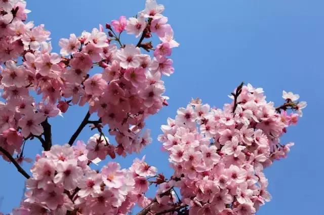 所有昆明人｜你有18个好消息，请注意查收！