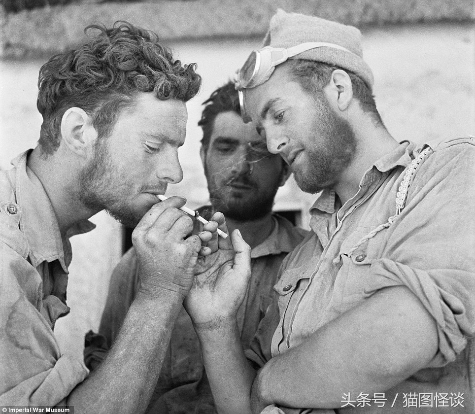 盘点不同国家的士兵吃的东西,各个国家士兵吃的伙食是最好的