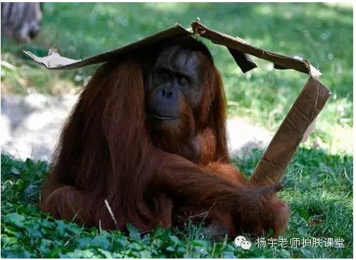 关于防晒你有哪些困惑,聊聊关于防晒的那些事儿