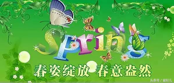 雀友餐桌麻将机全自动官方旗舰店,雀友麻将机专卖店实木