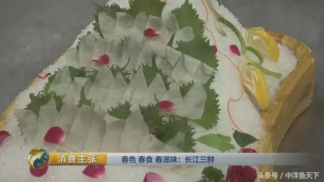 鲥鱼和刀鱼的鲜美,刀鱼鲥鱼河豚被称为长江三鲜