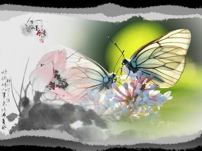 浅谈我所钟爱的《梁祝》，相信你也对其钟爱！