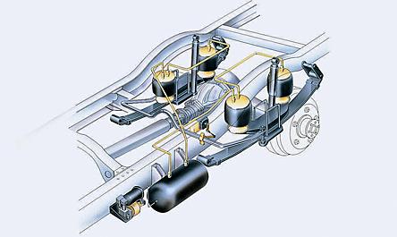 公交线路上亭亭玉立的碧莲