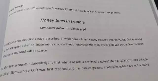 真能涨分？史上最详曼谷烤鸭记