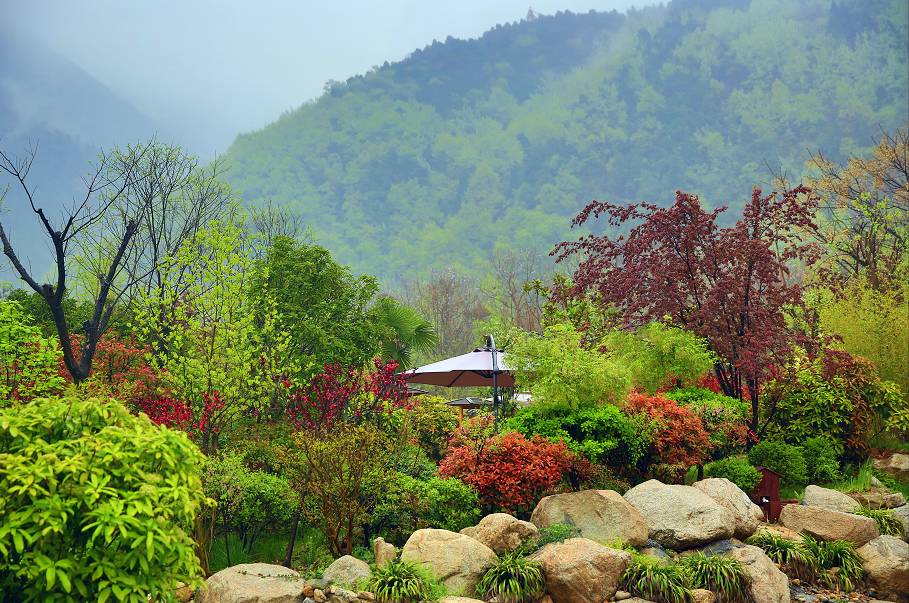 有一种美叫诗意,有一种美叫美人