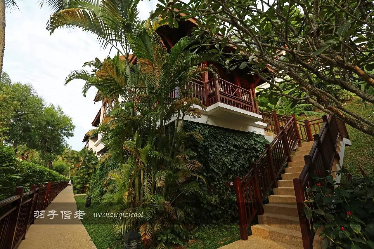 苏梅岛西方最佳度假村,苏梅岛酒店攻略