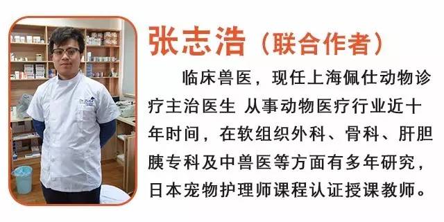 心室不好的狗有什么表现,心室不好狗狗的症状