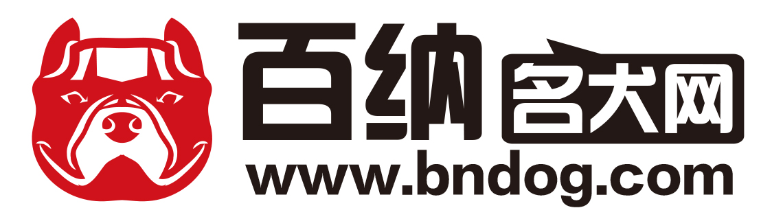 中国最大的恶霸犬,中国最大恶霸犬