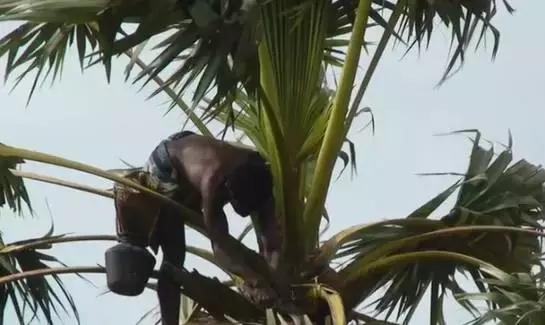 遛狗一年赚200万,帮别人遛狗的一个月可以赚多少