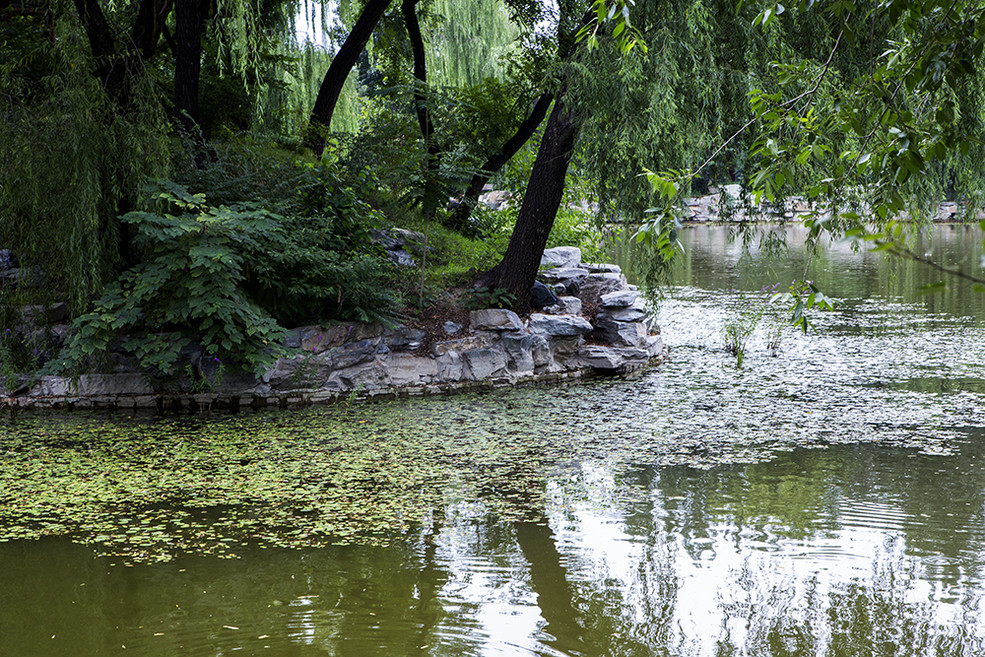北京大学有几个燕园,北京大学燕园校区是哪个区