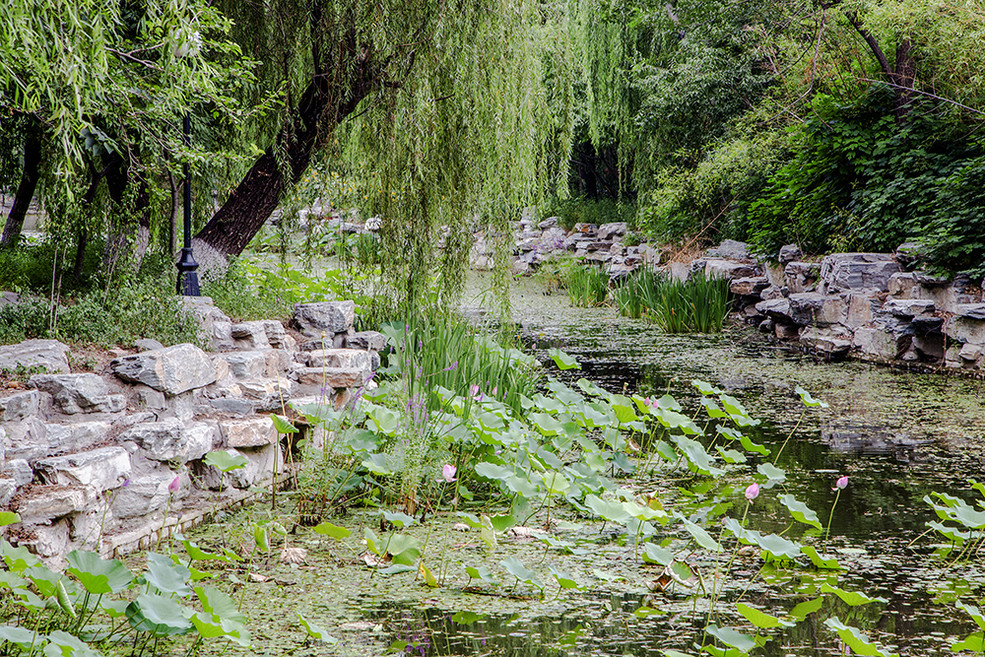 北京大学有几个燕园,北京大学燕园校区是哪个区
